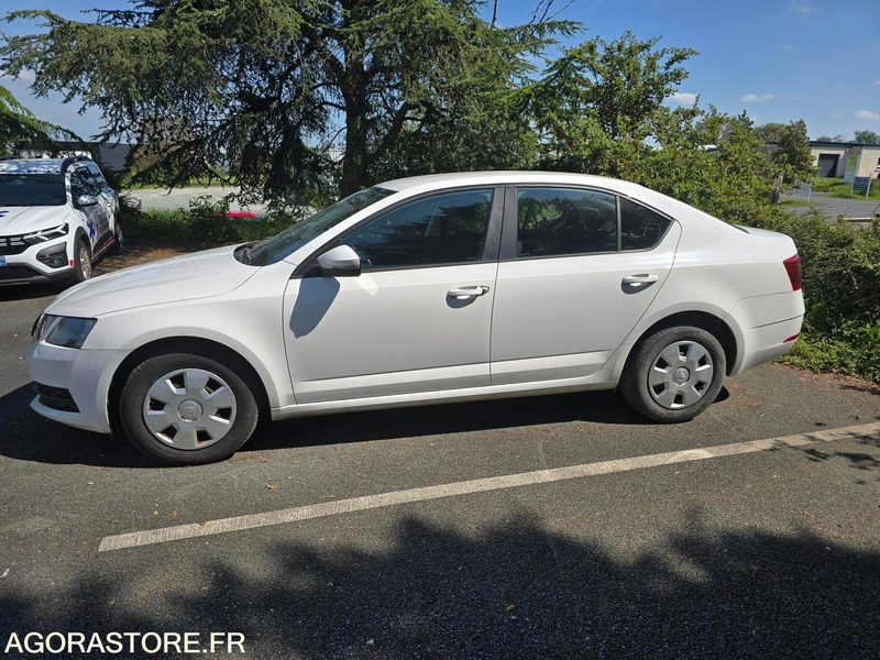 EL-119-BW - Non Roulant - SKODA OCTAVIA - CG INTEGRAL - 250 000 Kms - Mobil: gambar 3 EL-119-BW - Non Roulant - SKODA OCTAVIA - CG INTEGRAL - 250 000 Kms - Mobil: gambar 3