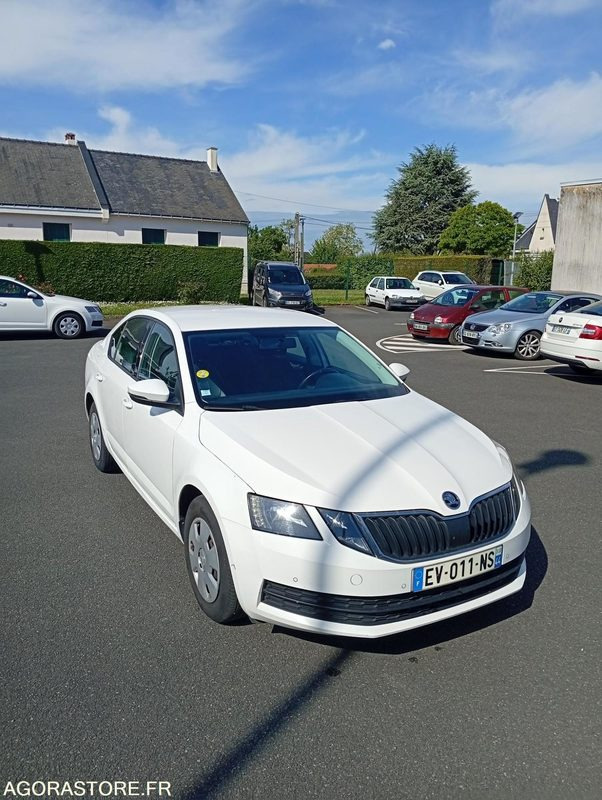 EV-011-NS - Roulant - SKODA OCTAVIA - VP - 389 000 Kms - Mobil: gambar 1 EV-011-NS - Roulant - SKODA OCTAVIA - VP - 389 000 Kms - Mobil: gambar 1