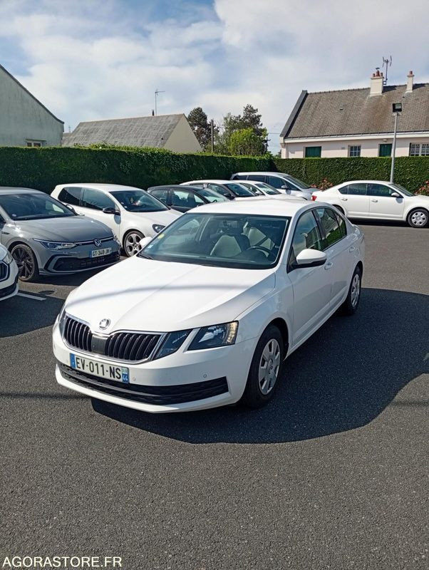 EV-011-NS - Roulant - SKODA OCTAVIA - VP - 389 000 Kms - Mobil: gambar 2 EV-011-NS - Roulant - SKODA OCTAVIA - VP - 389 000 Kms - Mobil: gambar 2