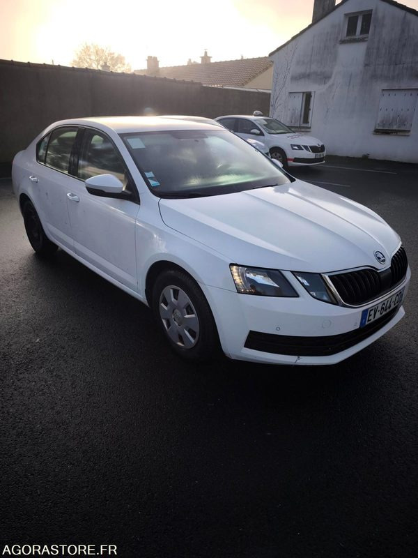 EV-644-CD - Non Roulant - SKODA OCTAVIA - VP - 339 260 Kms - Mobil: gambar 1 EV-644-CD - Non Roulant - SKODA OCTAVIA - VP - 339 260 Kms - Mobil: gambar 1