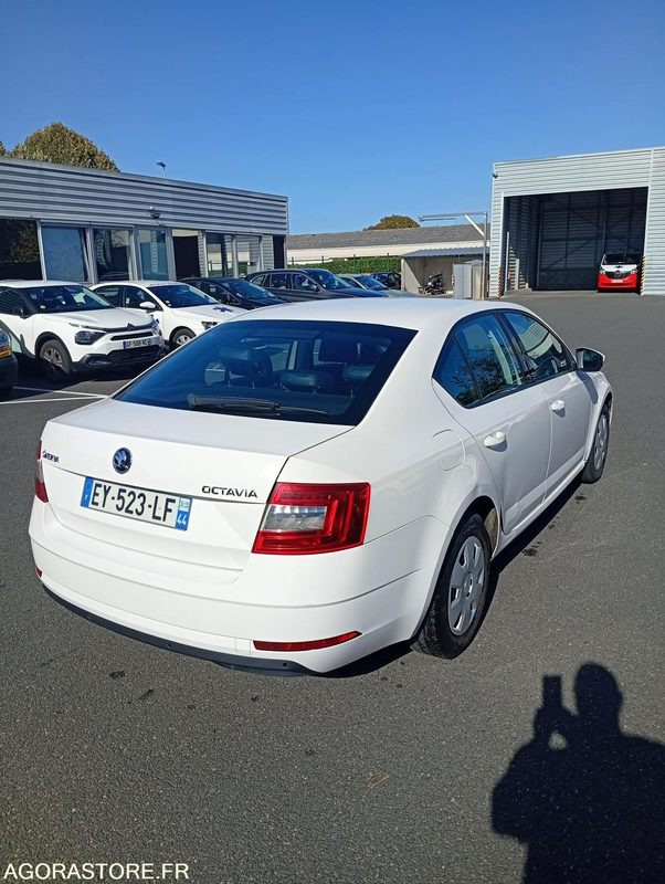 EY-523-LF - Roulant - SKODA OCTAVIA - VP - 384 000 Kms - Mobil: gambar 3 EY-523-LF - Roulant - SKODA OCTAVIA - VP - 384 000 Kms - Mobil: gambar 3