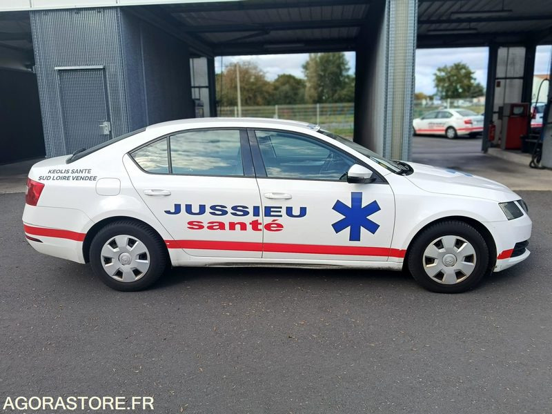 FB-732-ZZ - Non Roulant - SKODA OCTAVIA - VP - 309 757 Kms - Mobil: gambar 1 FB-732-ZZ - Non Roulant - SKODA OCTAVIA - VP - 309 757 Kms - Mobil: gambar 1