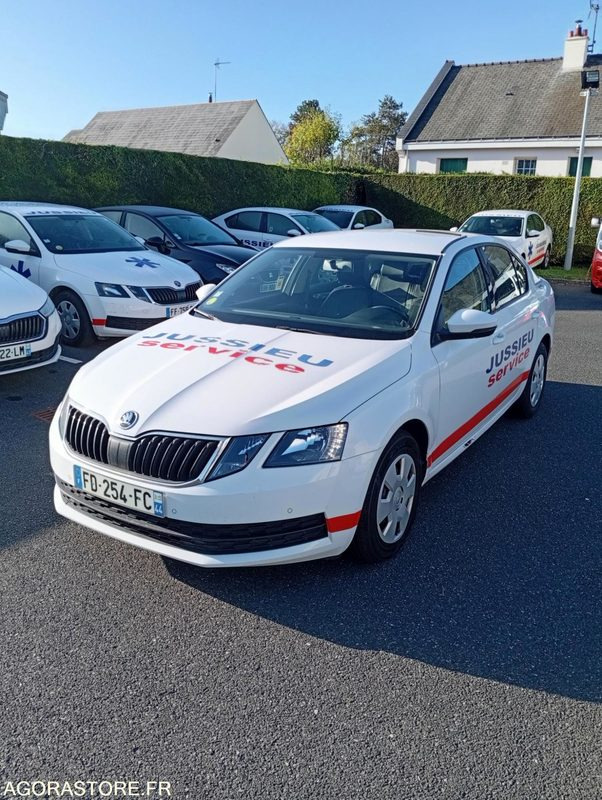 FD-254-FC - Non Roulant - SKODA OCTAVIA - VP - 387 000 Kms - Mobil: gambar 1 FD-254-FC - Non Roulant - SKODA OCTAVIA - VP - 387 000 Kms - Mobil: gambar 1
