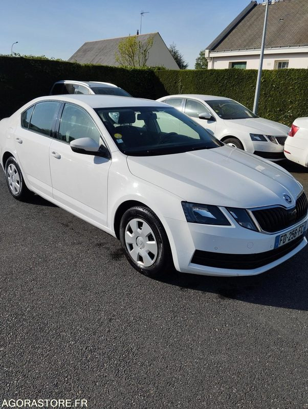 FD-256-FC - Roulant - SKODA OCTAVIA - VP - 417 000 Kms - Mobil: gambar 1 FD-256-FC - Roulant - SKODA OCTAVIA - VP - 417 000 Kms - Mobil: gambar 1
