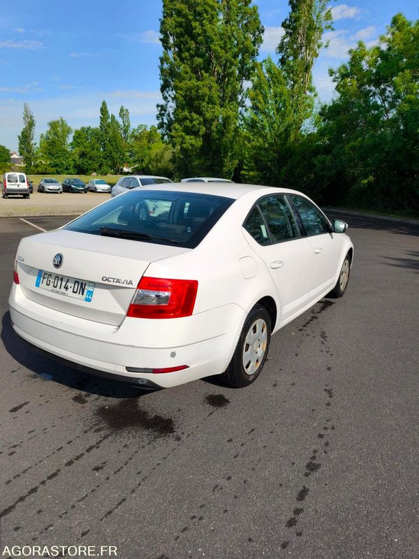 FG-014-DN - Roulant - SKODA OCTAVIA - VP - 354 084 Kms - Mobil: gambar 4 FG-014-DN - Roulant - SKODA OCTAVIA - VP - 354 084 Kms - Mobil: gambar 4