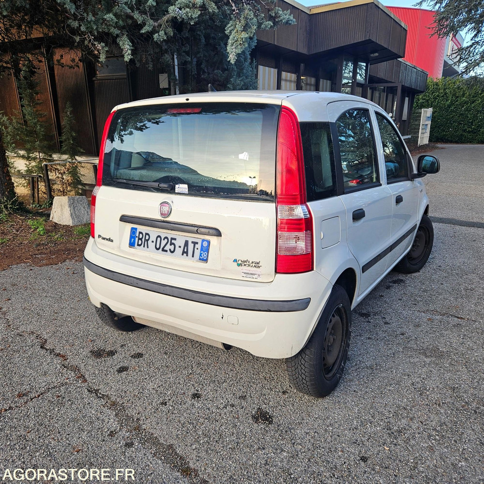 FIAT PANDA - Mobil: gambar 4 FIAT PANDA - Mobil: gambar 4