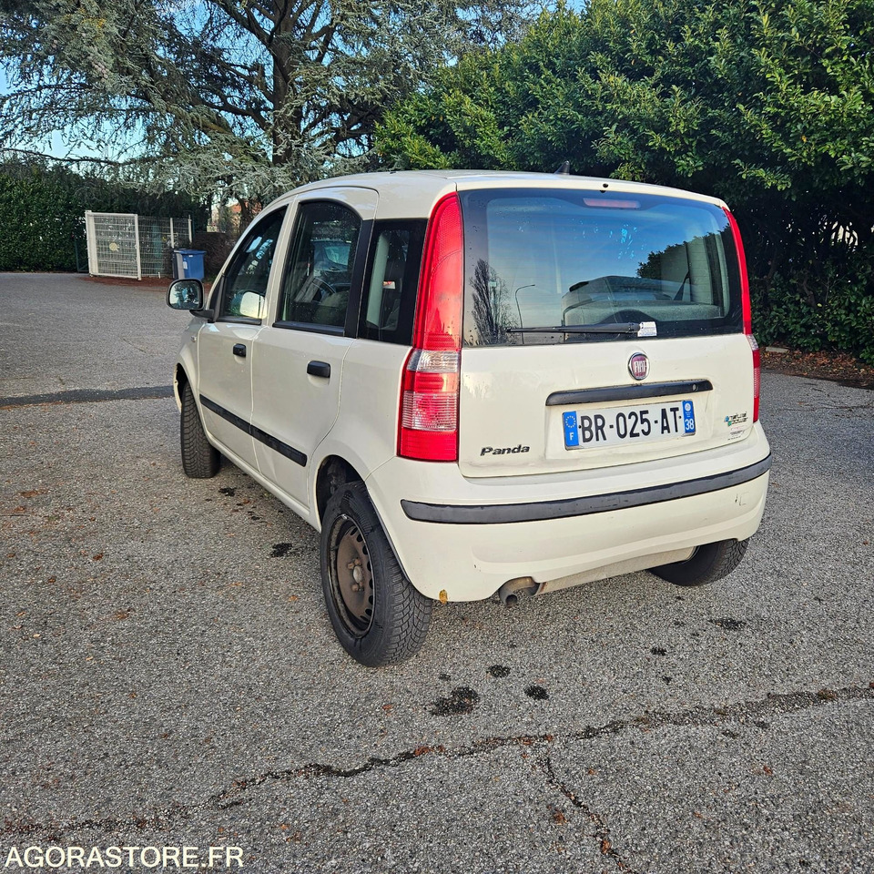 FIAT PANDA - Mobil: gambar 3 FIAT PANDA - Mobil: gambar 3
