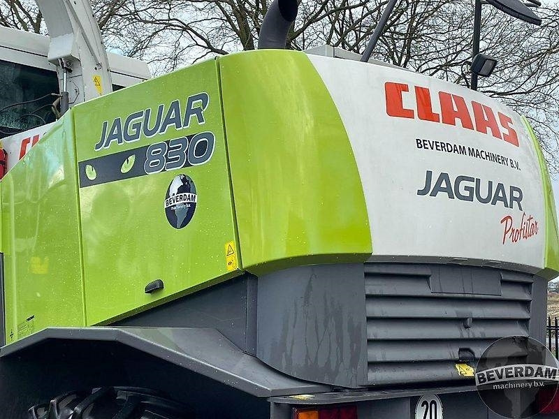 Pemanen hijauan Claas Jaguar 830 492: gambar 19