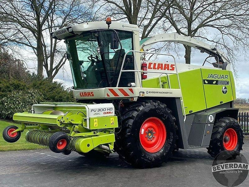 Pemanen hijauan Claas Jaguar 830 492: gambar 23