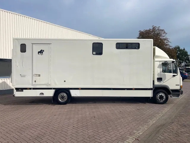 DAF LF 45.130 CLEAN HORSES NL-TRUCK - Truk pengangkut kuda: gambar 5 DAF LF 45.130 CLEAN HORSES NL-TRUCK - Truk pengangkut kuda: gambar 5