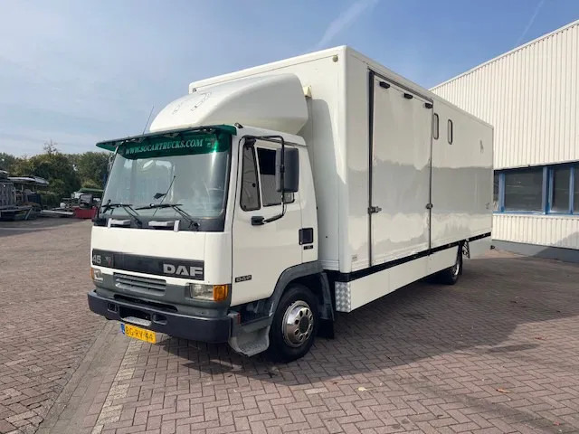 DAF LF 45.130 CLEAN HORSES NL-TRUCK - Truk pengangkut kuda: gambar 3 DAF LF 45.130 CLEAN HORSES NL-TRUCK - Truk pengangkut kuda: gambar 3