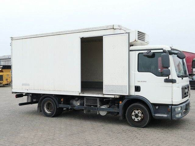 MAN 8.220 TGL BL 4x2, Thermo King, 3. Sitz, 5m lang - Truk berpendingin: gambar 5 MAN 8.220 TGL BL 4x2, Thermo King, 3. Sitz, 5m lang - Truk berpendingin: gambar 5