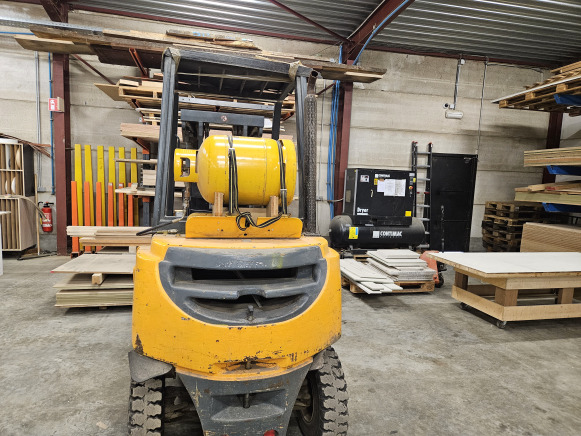 Chariot élévateur frontal au gaz Jungheirich TFG 25BK - Forklift LPG: gambar 2 Chariot élévateur frontal au gaz Jungheirich TFG 25BK - Forklift LPG: gambar 2