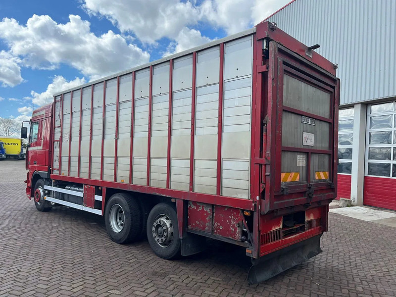 DAF XF FAR 95XF.380 EURO 2 - Truk pengangkut hewan: gambar 5 DAF XF FAR 95XF.380 EURO 2 - Truk pengangkut hewan: gambar 5