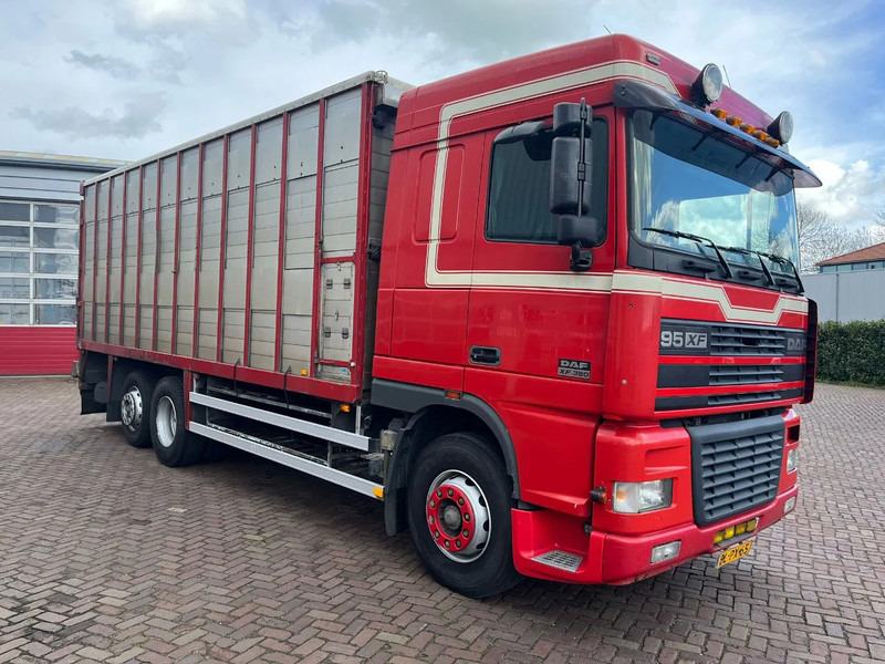 DAF XF FAR 95XF.380 EURO 2 - Truk pengangkut hewan: gambar 3 DAF XF FAR 95XF.380 EURO 2 - Truk pengangkut hewan: gambar 3