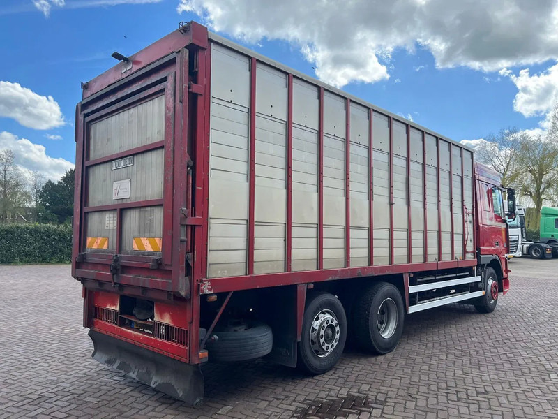 DAF XF FAR 95XF.380 EURO 2 - Truk pengangkut hewan: gambar 4 DAF XF FAR 95XF.380 EURO 2 - Truk pengangkut hewan: gambar 4