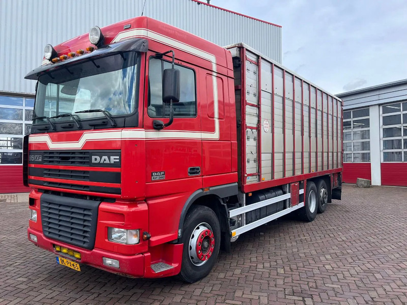 DAF XF FAR 95XF.380 EURO 2 - Truk pengangkut hewan: gambar 1 DAF XF FAR 95XF.380 EURO 2 - Truk pengangkut hewan: gambar 1