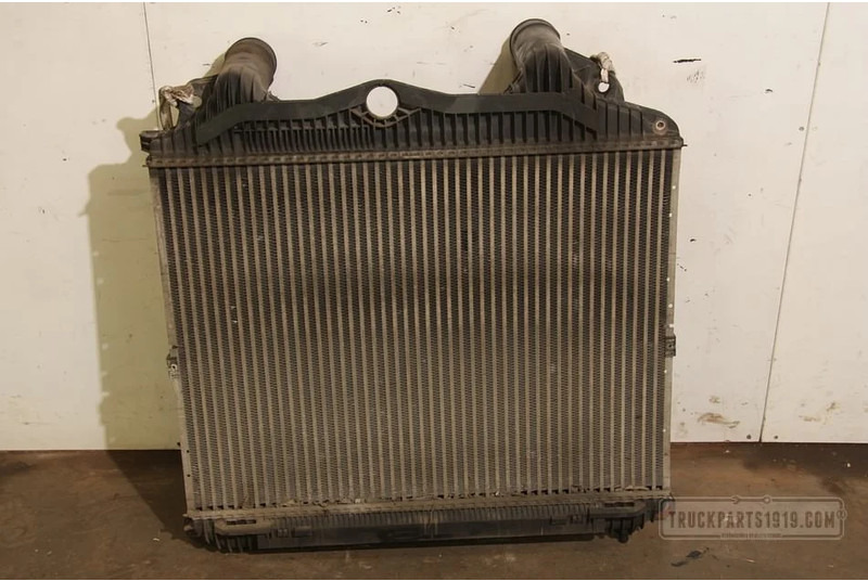 MAN TGA 81.06130-0175 Interkoeler TGA - Radiator untuk Truk: gambar 1 MAN TGA 81.06130-0175 Interkoeler TGA - Radiator untuk Truk: gambar 1