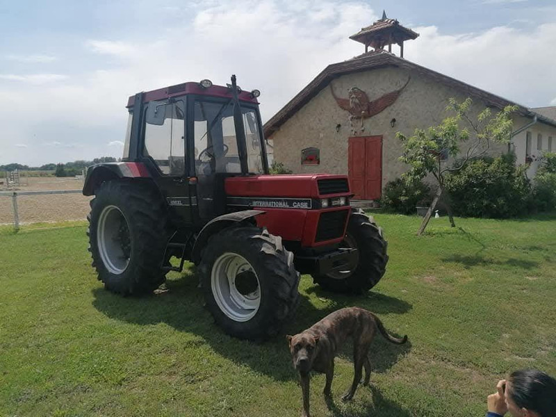 Case IH 856 XL - Traktor: gambar 4 Case IH 856 XL - Traktor: gambar 4