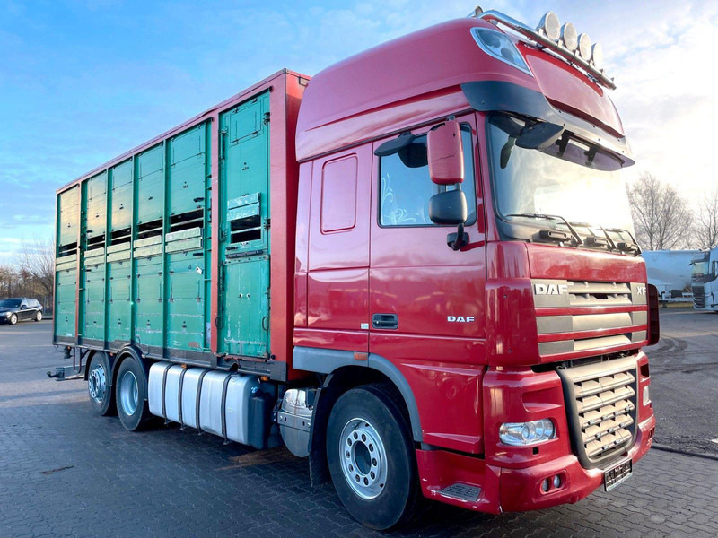DAF XF 105.460 2-Stock Finkl Viehaufbau / Lenkachs - Truk pengangkut hewan: gambar 1 DAF XF 105.460 2-Stock Finkl Viehaufbau / Lenkachs - Truk pengangkut hewan: gambar 1