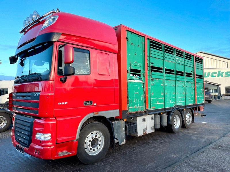 DAF XF 105.460 2-Stock Finkl Viehaufbau / Lenkachs - Truk pengangkut hewan: gambar 2 DAF XF 105.460 2-Stock Finkl Viehaufbau / Lenkachs - Truk pengangkut hewan: gambar 2