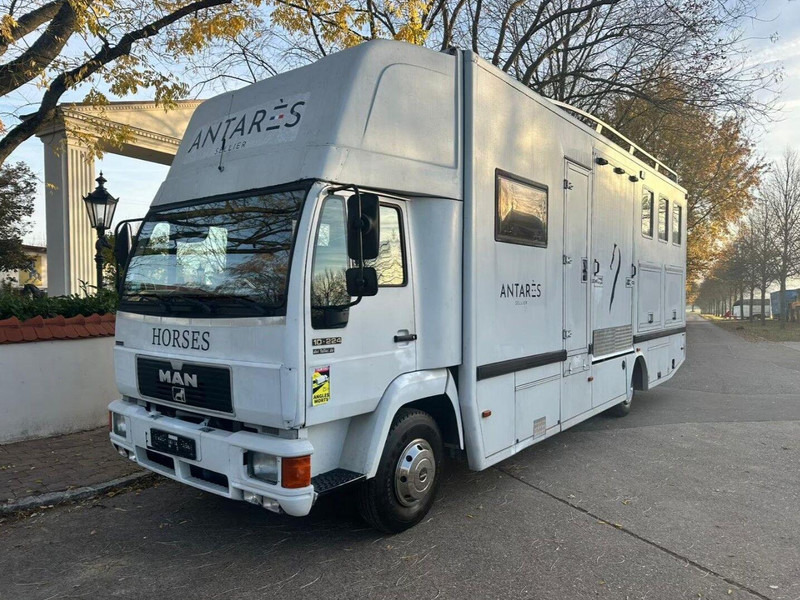 MAN 10.224 - Truk pengangkut kuda: gambar 2 MAN 10.224 - Truk pengangkut kuda: gambar 2