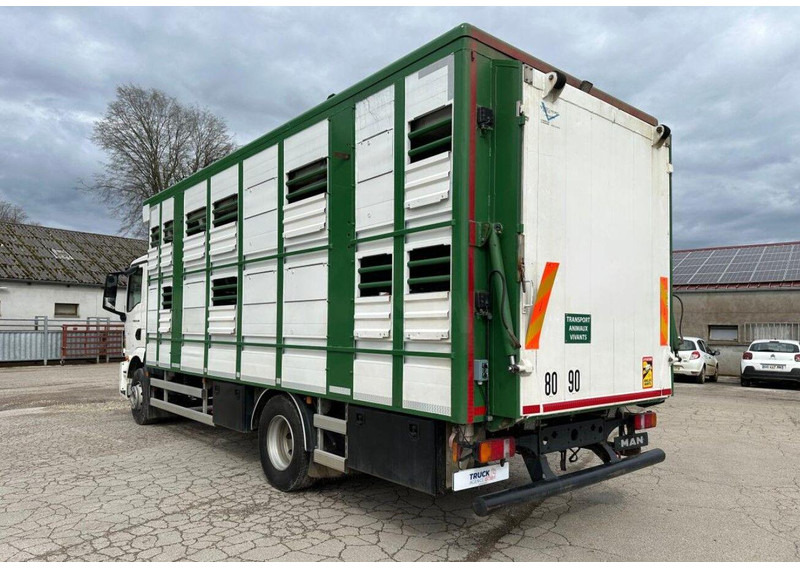 MAN TGM 15.290 Livestock Double Deck - Truk pengangkut hewan: gambar 5 MAN TGM 15.290 Livestock Double Deck - Truk pengangkut hewan: gambar 5