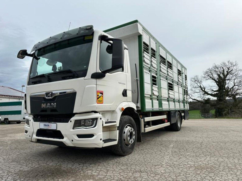 MAN TGM 15.290 Livestock Double Deck - Truk pengangkut hewan: gambar 2 MAN TGM 15.290 Livestock Double Deck - Truk pengangkut hewan: gambar 2