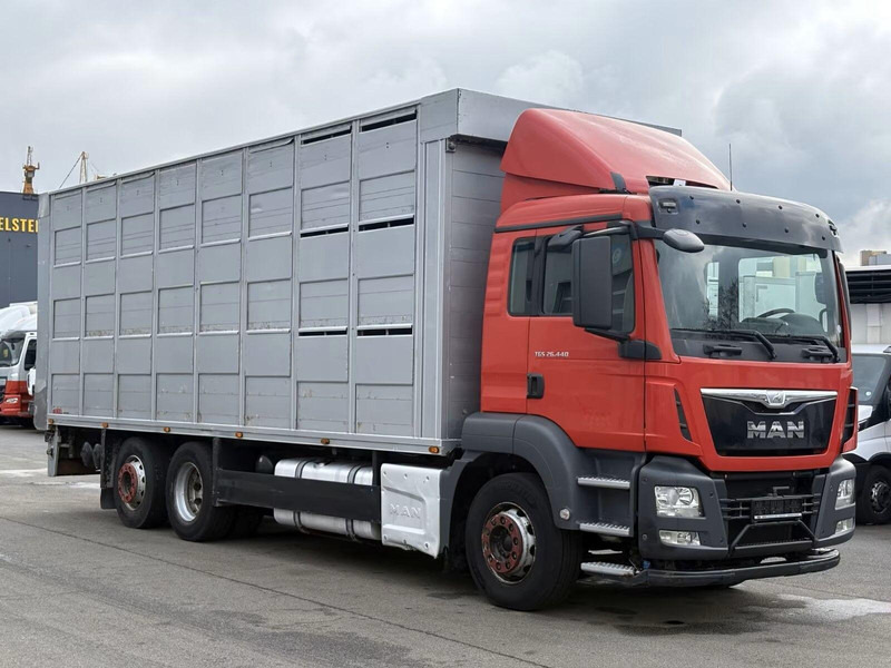 MAN TGS 26.440 - Animal transporter - Truk pengangkut hewan: gambar 2 MAN TGS 26.440 - Animal transporter - Truk pengangkut hewan: gambar 2