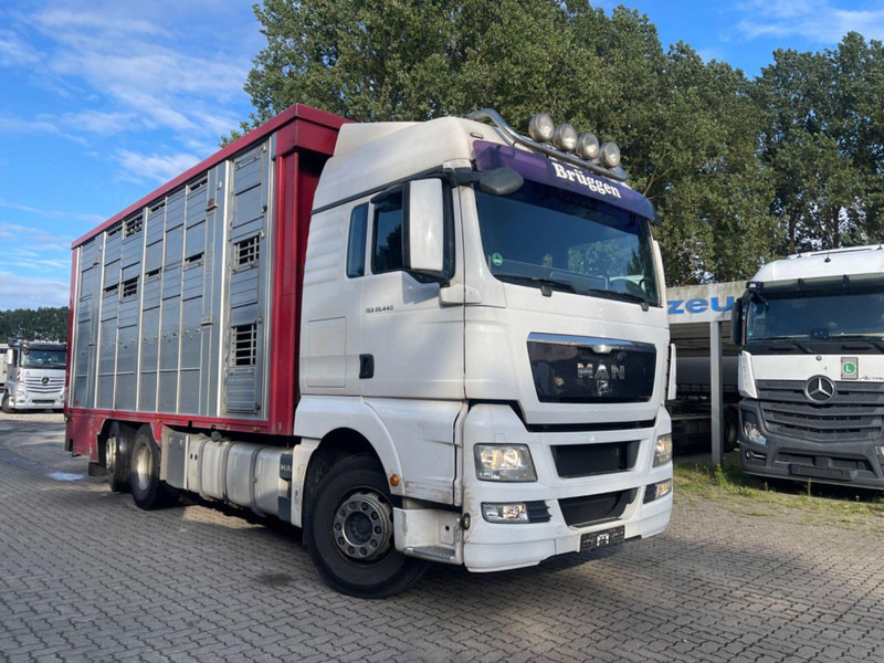 MAN TGX 26.400 6x2-2 LL 3 Stück Finkl Hubdach - Truk pengangkut hewan: gambar 5 MAN TGX 26.400 6x2-2 LL 3 Stück Finkl Hubdach - Truk pengangkut hewan: gambar 5
