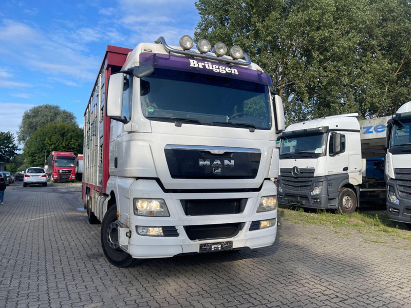 MAN TGX 26.400 6x2-2 LL 3 Stück Finkl Hubdach - Truk pengangkut hewan: gambar 4 MAN TGX 26.400 6x2-2 LL 3 Stück Finkl Hubdach - Truk pengangkut hewan: gambar 4