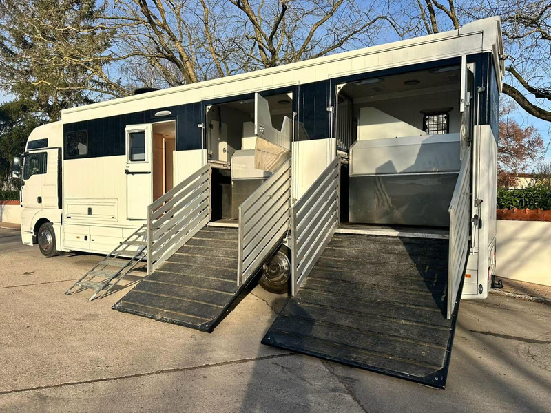 MAN TGX 26.440 - Horse transporter - Truk pengangkut kuda: gambar 5 MAN TGX 26.440 - Horse transporter - Truk pengangkut kuda: gambar 5