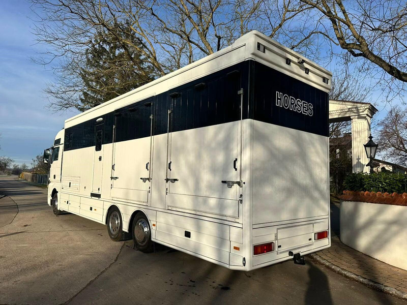 MAN TGX 26.440 - Horse transporter - Truk pengangkut kuda: gambar 4 MAN TGX 26.440 - Horse transporter - Truk pengangkut kuda: gambar 4