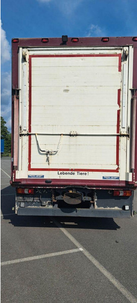 Mercedes-Benz Actros 1851 - Truk pengangkut hewan: gambar 5 Mercedes-Benz Actros 1851 - Truk pengangkut hewan: gambar 5