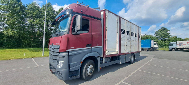 Mercedes-Benz Actros 1851 - Truk pengangkut hewan: gambar 1 Mercedes-Benz Actros 1851 - Truk pengangkut hewan: gambar 1