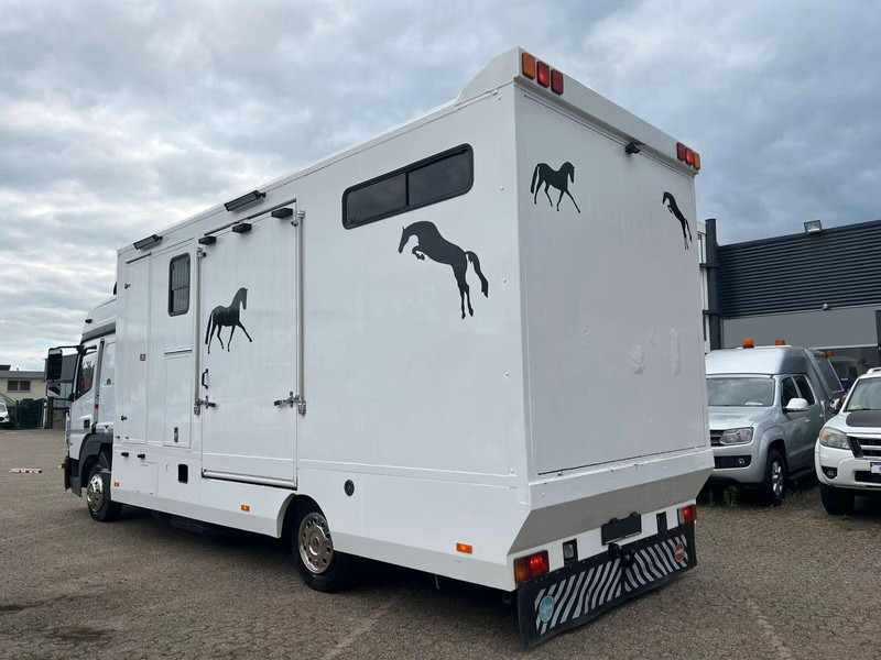 Mercedes-Benz Atego 823 - Horse transporter - Truk pengangkut kuda: gambar 4 Mercedes-Benz Atego 823 - Horse transporter - Truk pengangkut kuda: gambar 4
