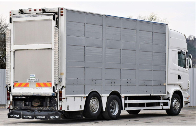 Scania R 500 - Truk pengangkut hewan: gambar 5 Scania R 500 - Truk pengangkut hewan: gambar 5