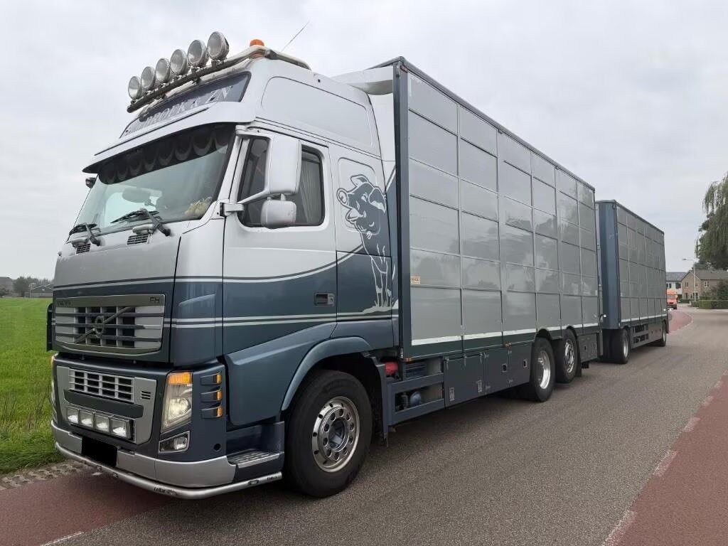 Volvo FH 480 / + trailer - Truk pengangkut hewan: gambar 1 Volvo FH 480 / + trailer - Truk pengangkut hewan: gambar 1