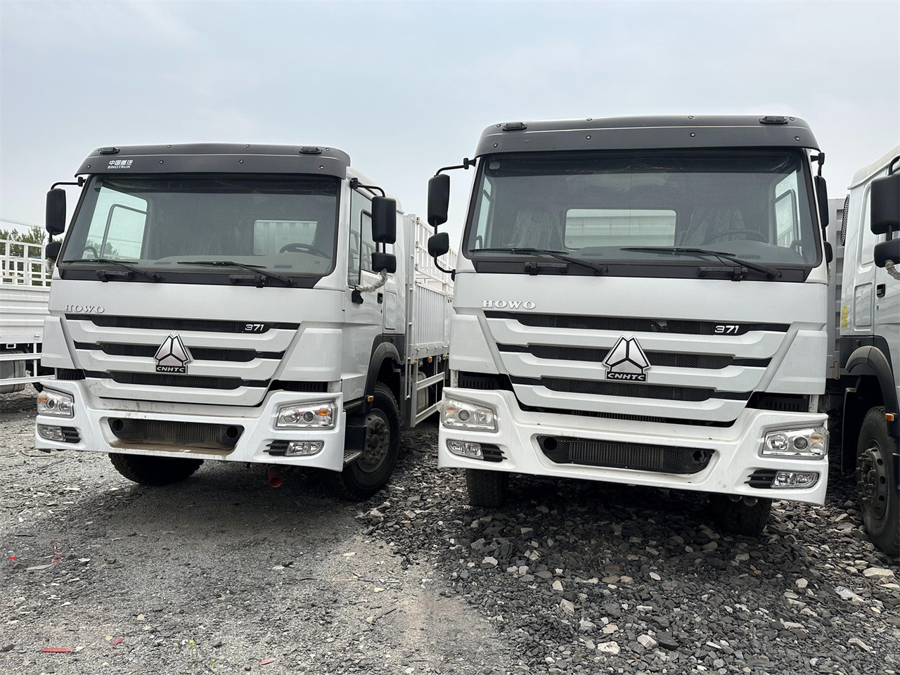 SINOTRUK HOWO 371 Cargo truck - Truk pengangkut hewan: gambar 1 SINOTRUK HOWO 371 Cargo truck - Truk pengangkut hewan: gambar 1