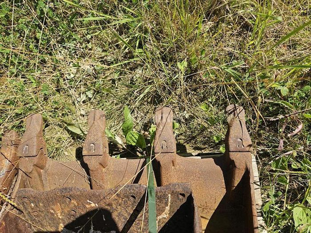 ARDEN QA11 - Ember: gambar 3 ARDEN QA11 - Ember: gambar 3