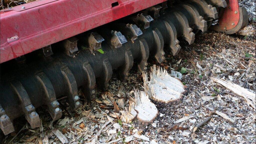 Kovaco 1.65 forestry mulcher for skid loaders - Mulcher kehutanan: gambar 2 Kovaco 1.65 forestry mulcher for skid loaders - Mulcher kehutanan: gambar 2