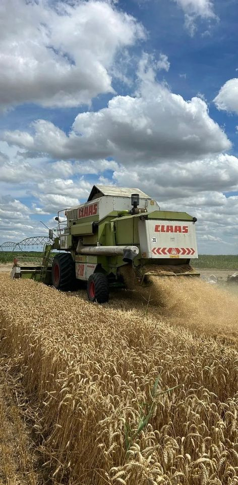 Claas MEGA 218 - Pemanen gabungan: gambar 5 Claas MEGA 218 - Pemanen gabungan: gambar 5