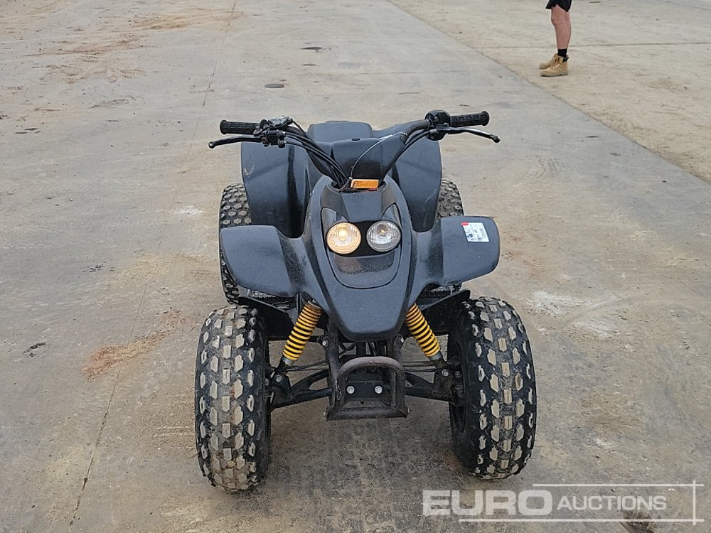 ATV Quadzilla R100: gambar 8 ATV Quadzilla R100: gambar 8
