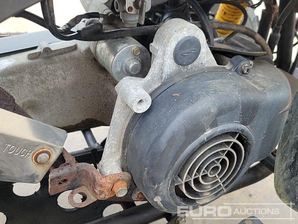 ATV Quadzilla R100: gambar 20 ATV Quadzilla R100: gambar 20