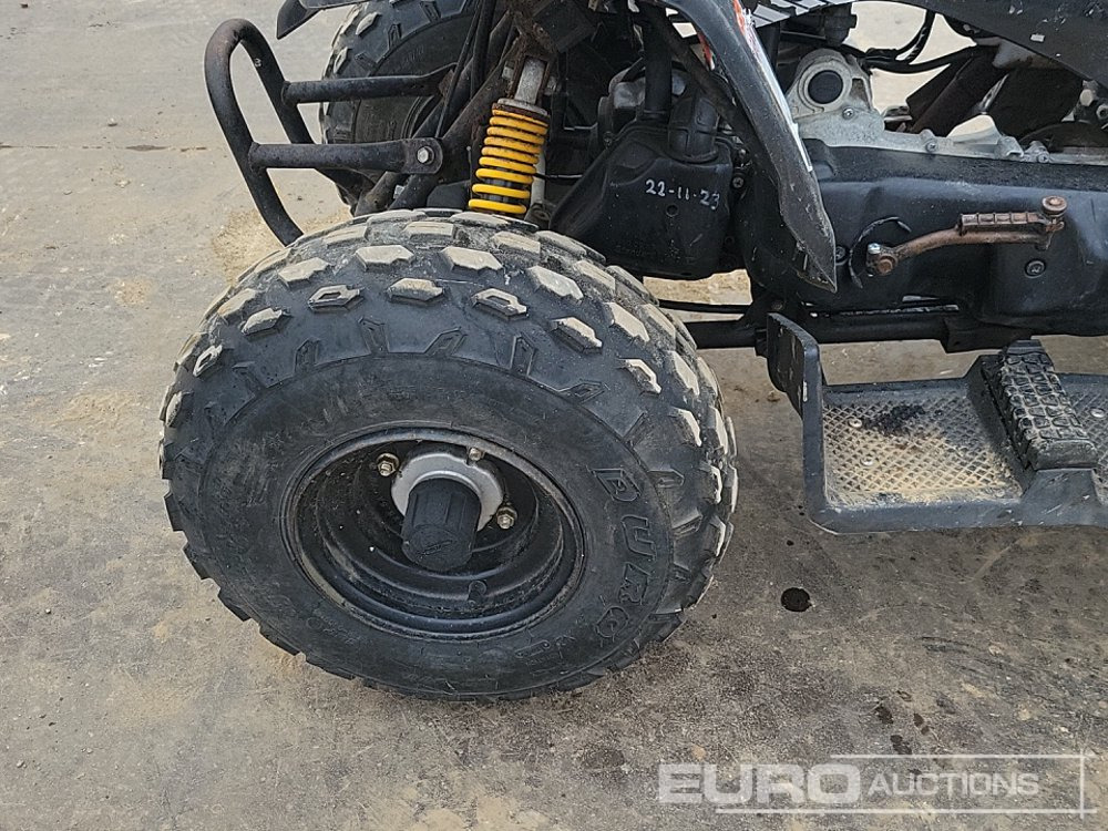ATV Quadzilla R100: gambar 12 ATV Quadzilla R100: gambar 12