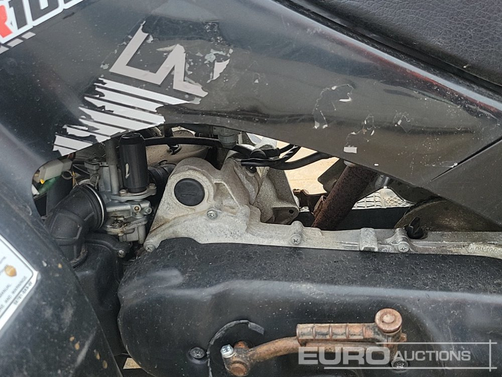 ATV Quadzilla R100: gambar 18 ATV Quadzilla R100: gambar 18