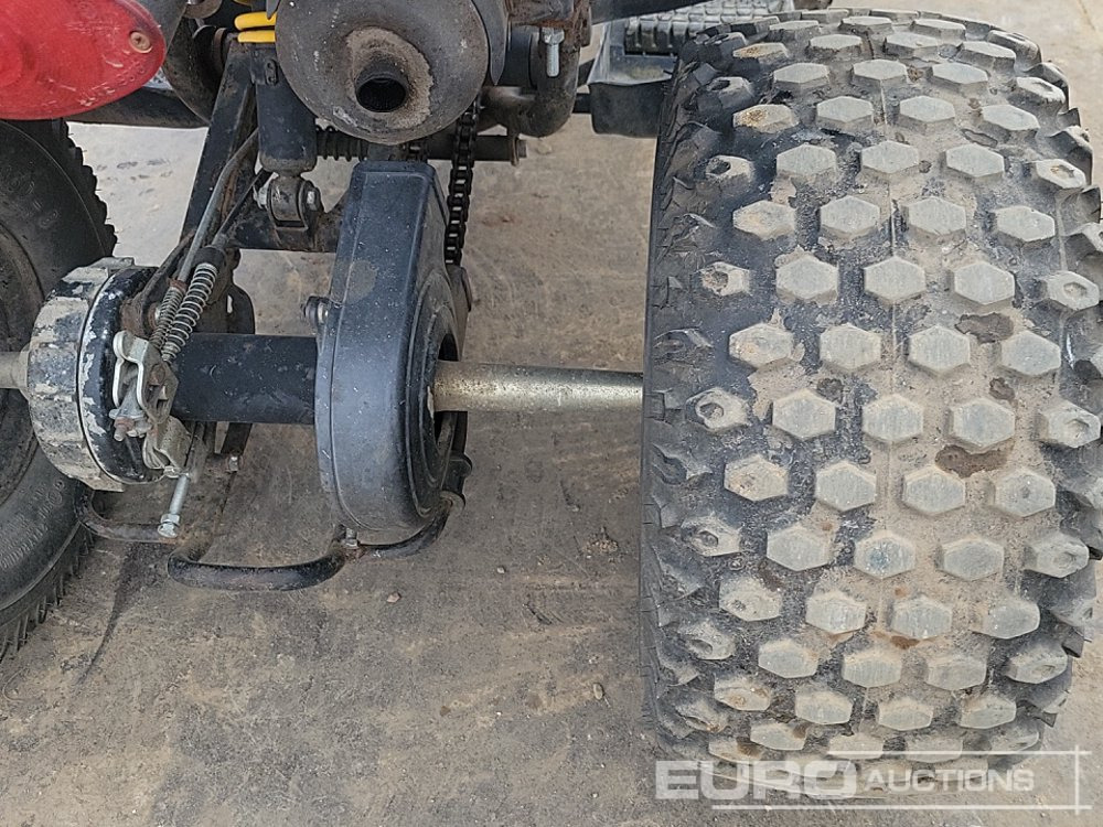 ATV Quadzilla R100: gambar 15 ATV Quadzilla R100: gambar 15