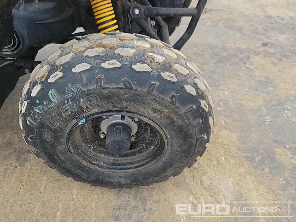 ATV Quadzilla R100: gambar 9 ATV Quadzilla R100: gambar 9