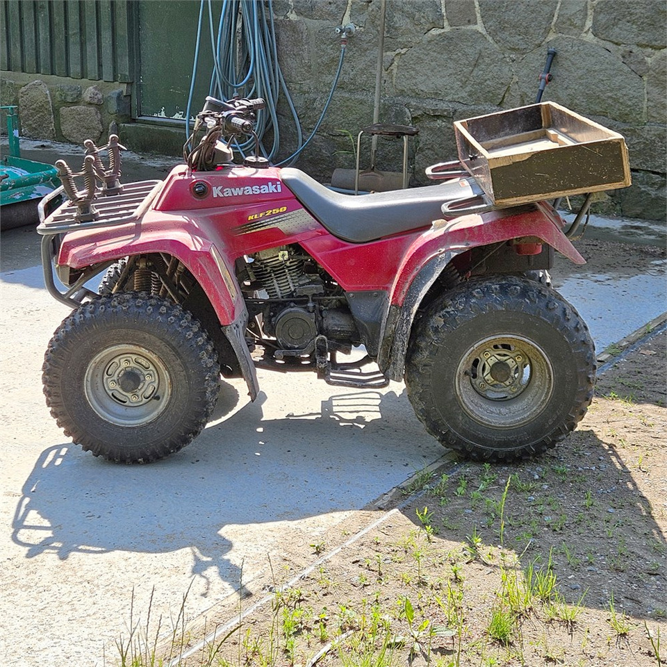 Kawasaki KLF 250 - ATV: gambar 2 Kawasaki KLF 250 - ATV: gambar 2