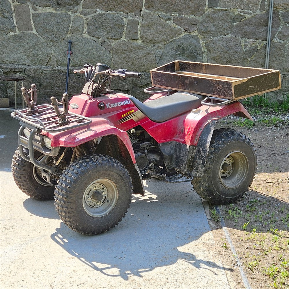 Kawasaki KLF 250 - ATV: gambar 1 Kawasaki KLF 250 - ATV: gambar 1